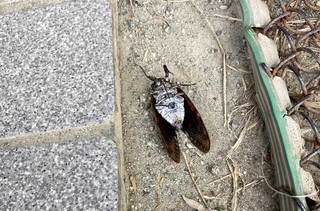 20200812-SE-(1).jpg