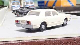 20250209SE (29).jpg
