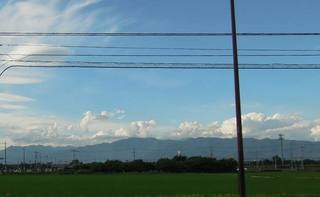 DSCN0519.jpg
