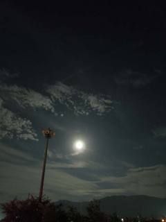 DSCN0530.jpg