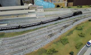 DSCN5392.jpg