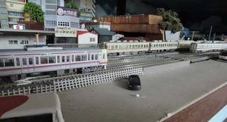 DSCN8624.jpg