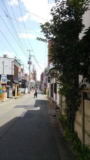 DSC_0105.jpg