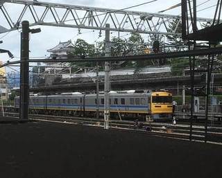 IMG_4928~photo.jpg
