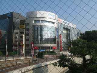 IMG_7351.jpg