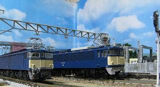 SNShouo71IMG_3870.jpg